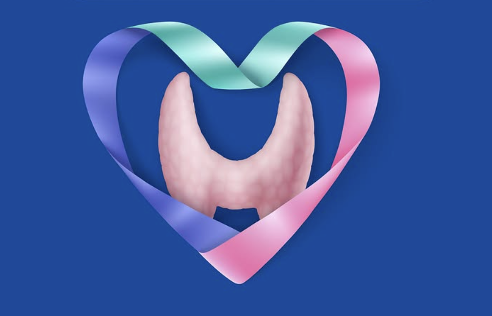 Enmedic Clinic thyroid health branding